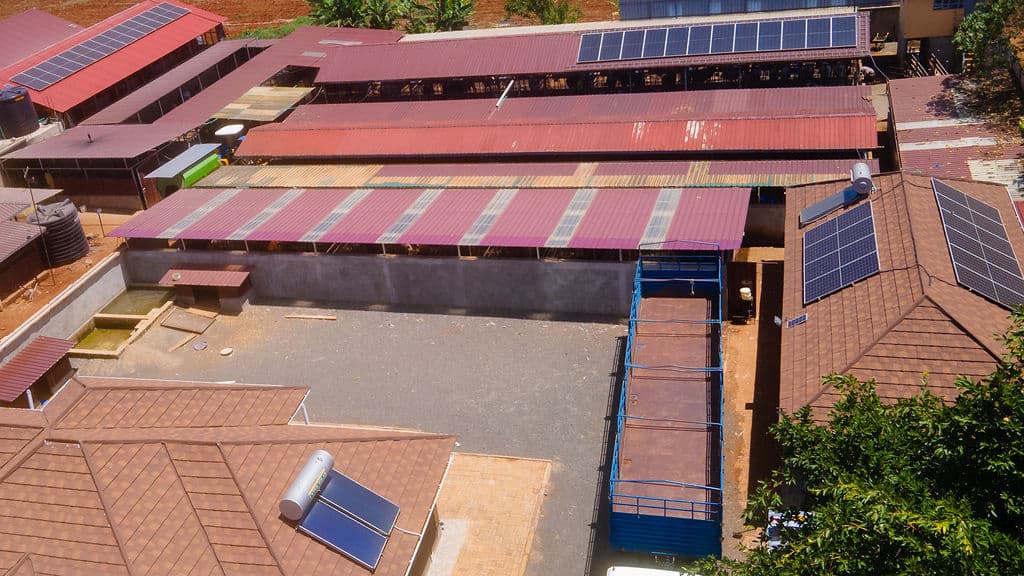 Farm House Solar + Storage image 8