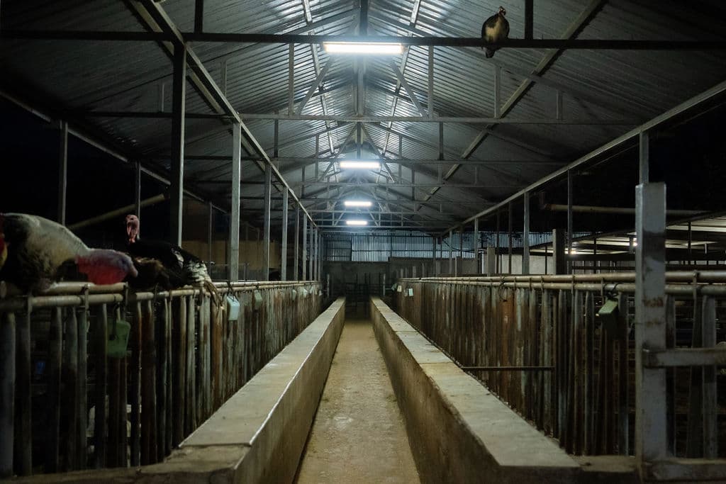 Farm House Solar + Storage